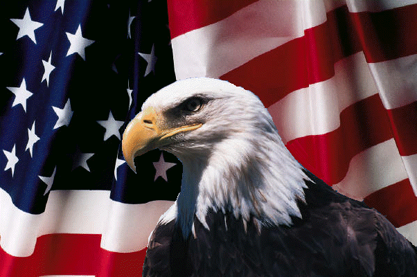 Falconer Auto Repair | The American Flag and an Eagle 